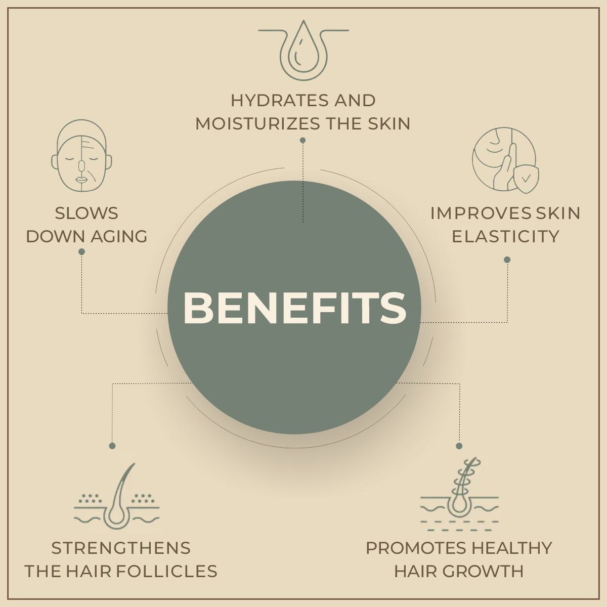 Salvia Natural Carrier Oils Peach Kernel Oil (Prunus persica) 100% Natural Pure Carrier Oil Nourishes & Moisturizes Skin, Manages Premature Aging, Promotes Healthy Hair Salvia Natural Carrier Oils Peach Kernel Oil (Prunus persica) 100% Natural Pure Carrier Oil Nourishes & Moisturizes Skin, Manages Premature Aging, Promotes Healthy Hair